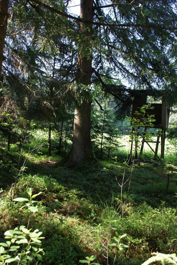 Gaestehaus Wuehrer Franking Kültér fotó